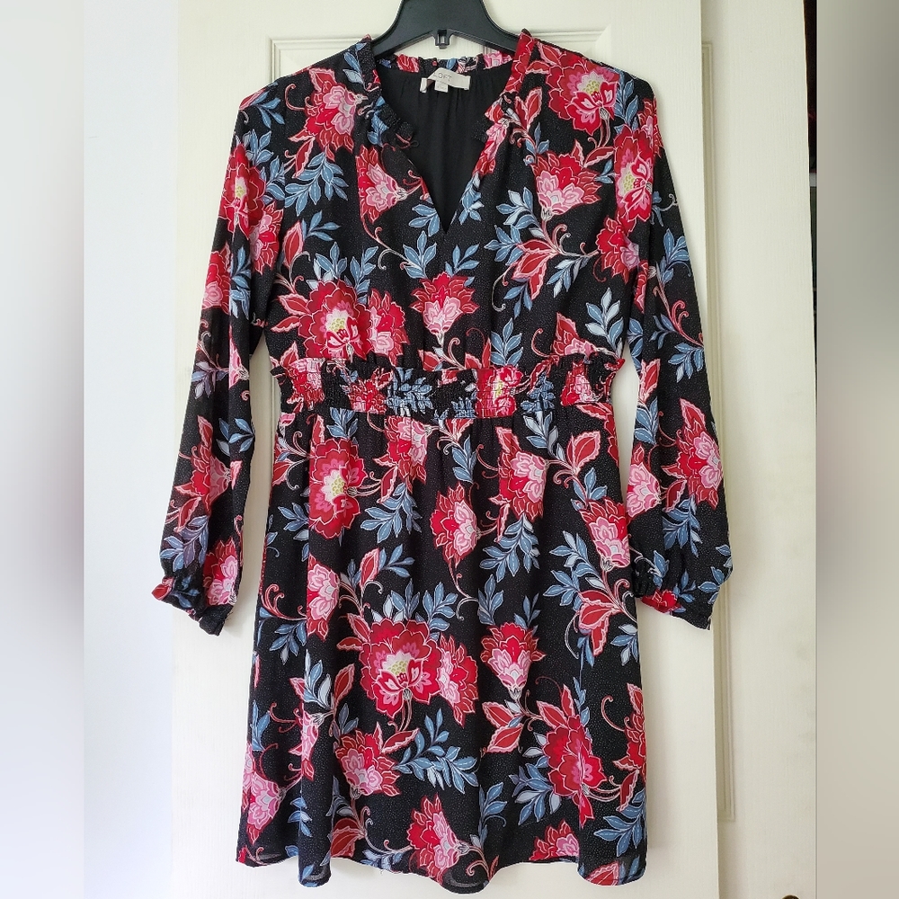 Ann Taylor Loft Dress